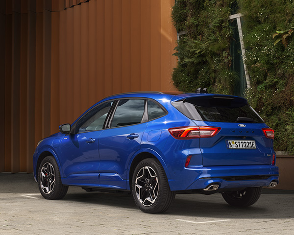 Blauer SUV, Ford Modell, steht vor einer rustikalen Wand und grünen Pflanzen. Sportliches Design und elegante Linien.